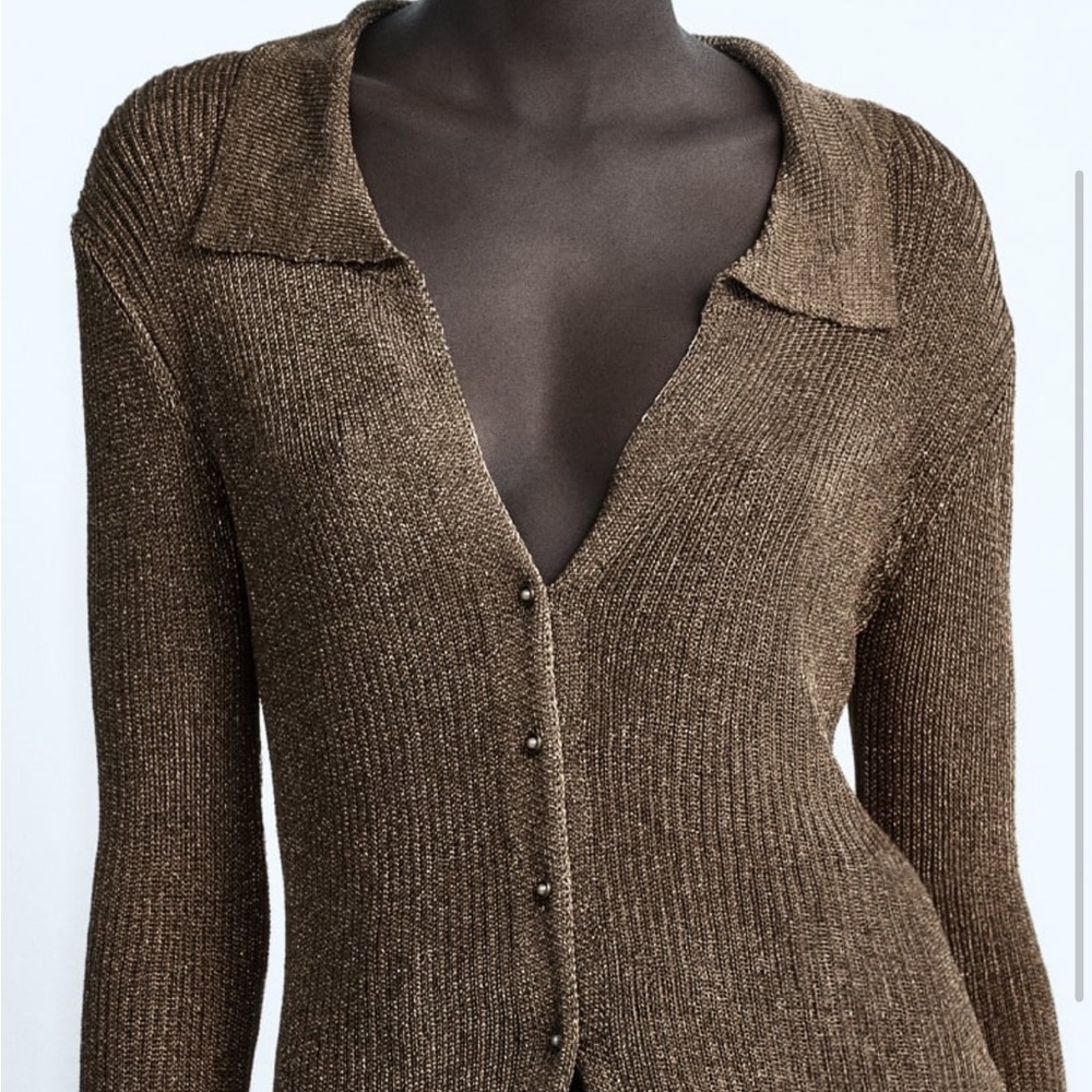 Zara Metallic Knit Cardigan